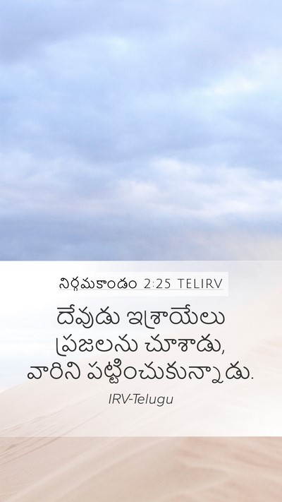 నిర్గమకాండం 2:25 TELIRV Bible Verse Image
