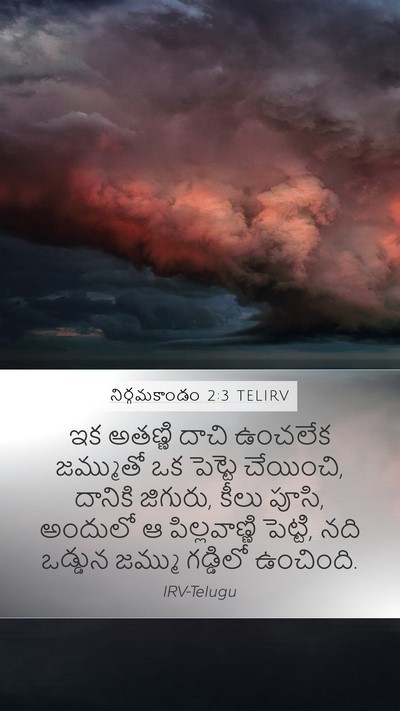 నిర్గమకాండం 2:3 TELIRV Bible Verse Image