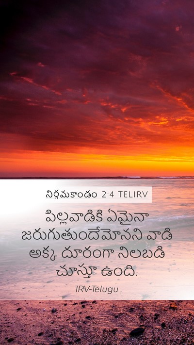 నిర్గమకాండం 2:4 TELIRV Bible Verse Image