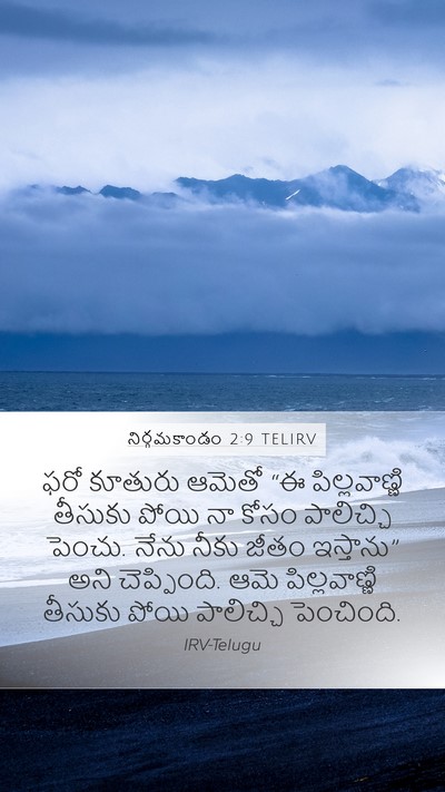 నిర్గమకాండం 2:9 TELIRV Mobile Phone Wallpaper - ఫరో కూతురు ఆమెతో - Mobile Bible Verse Wallpaper