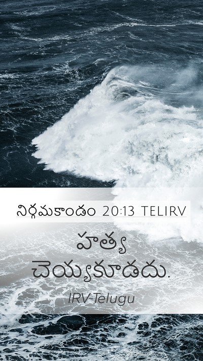 నిర్గమకాండం 20:13 TELIRV Bible Verse Image