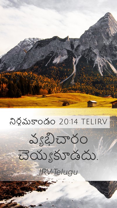 నిర్గమకాండం 20:14 TELIRV Bible Verse Image