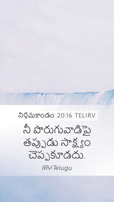 నిర్గమకాండం 20:16 TELIRV Bible Verse Image