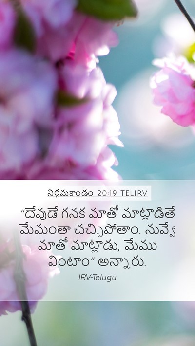 నిర్గమకాండం 20:19 TELIRV Bible Verse Image