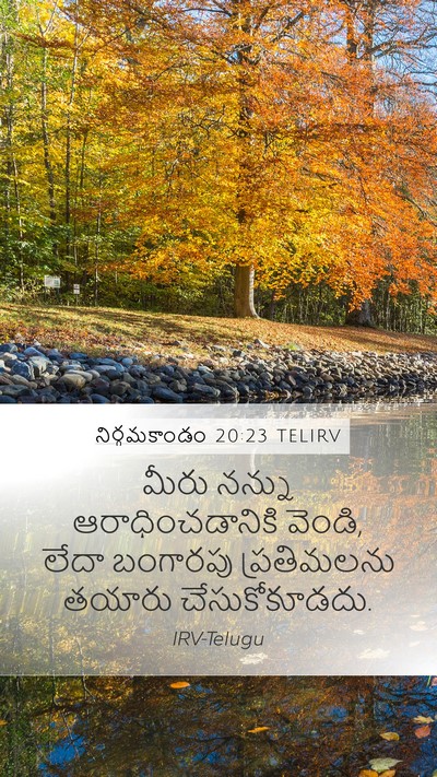 నిర్గమకాండం 20:23 TELIRV Bible Verse Image