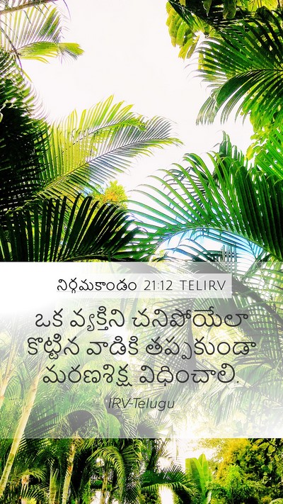 నిర్గమకాండం 21:12 TELIRV Bible Verse Image