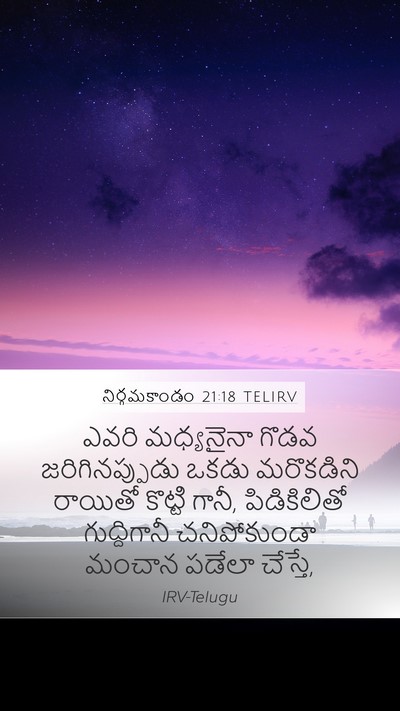 నిర్గమకాండం 21:18 TELIRV Bible Verse Image