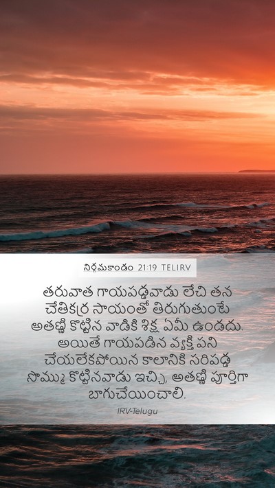 నిర్గమకాండం 21:19 TELIRV Mobile Phone Wallpaper - తరువాత - Mobile Bible Verse Wallpaper