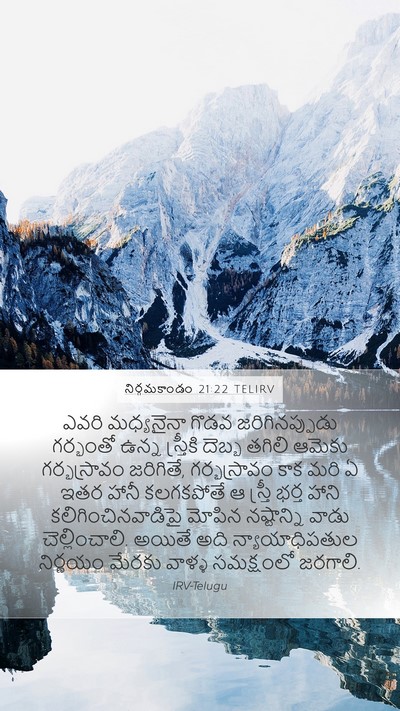 నిర్గమకాండం 21:22 TELIRV Bible Verse Image
