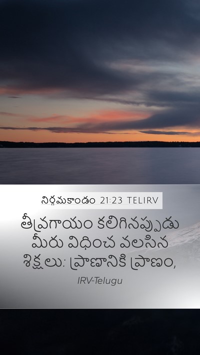 నిర్గమకాండం 21:23 TELIRV Mobile Phone Wallpaper - తీవ్రగాయం - Mobile Bible Verse Wallpaper