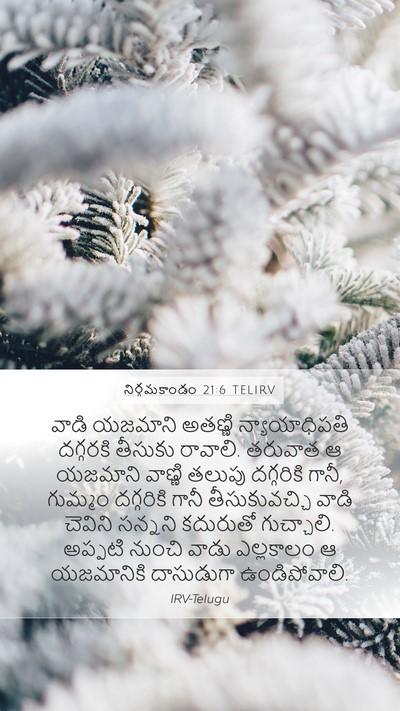 నిర్గమకాండం 21:6 TELIRV Bible Verse Image