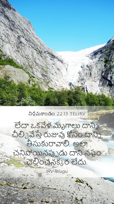 నిర్గమకాండం 22:13 TELIRV Mobile Phone Wallpaper - లేదా ఒకవేళ మృగాలు - Mobile Bible Verse Wallpaper