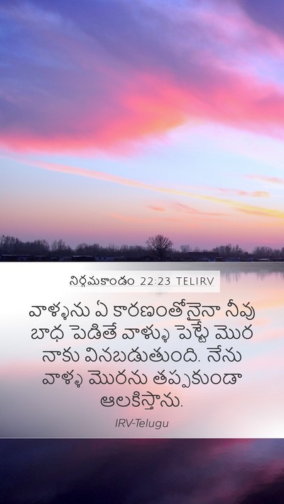 నిర్గమకాండం 22:23 TELIRV Bible Verse Image