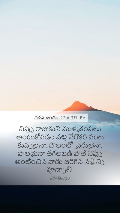 నిర్గమకాండం 22:6 TELIRV Bible Verse Image