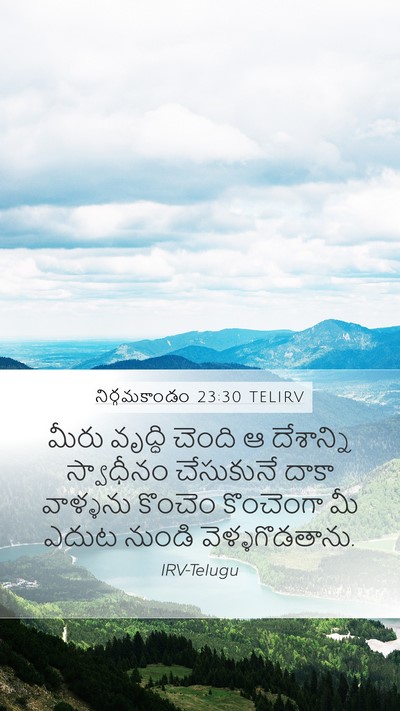 నిర్గమకాండం 23:30 TELIRV Bible Verse Image