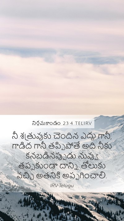 నిర్గమకాండం 23:4 TELIRV Bible Verse Image
