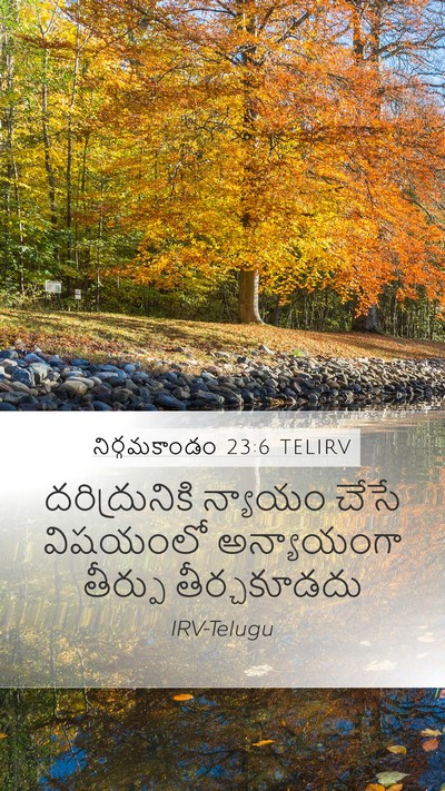నిర్గమకాండం 23:6 TELIRV Bible Verse Image