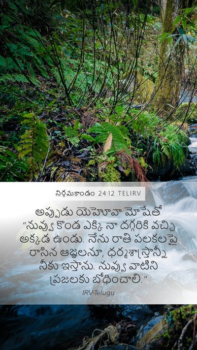 నిర్గమకాండం 24:12 TELIRV Bible Verse Image