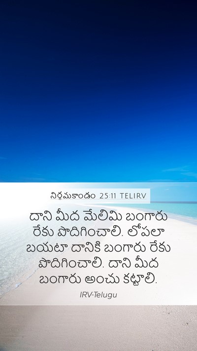 నిర్గమకాండం 25:11 TELIRV Bible Verse Image