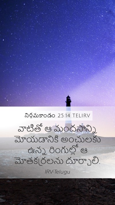 నిర్గమకాండం 25:14 TELIRV Bible Verse Image