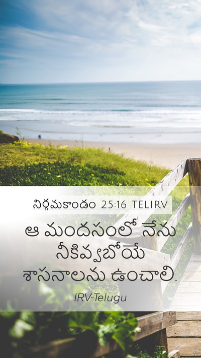 నిర్గమకాండం 25:16 TELIRV Bible Verse Image