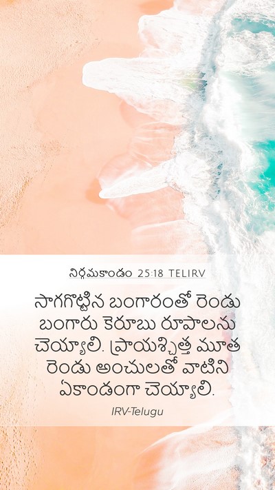 నిర్గమకాండం 25:18 TELIRV Bible Verse Image