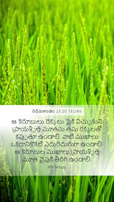 నిర్గమకాండం 25:20 TELIRV Bible Verse Image