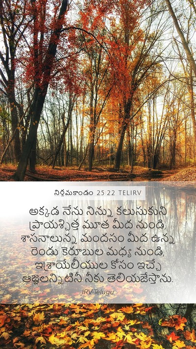 నిర్గమకాండం 25:22 TELIRV Bible Verse Image