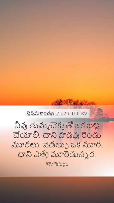 నిర్గమకాండం 25:23 TELIRV Bible Verse Image