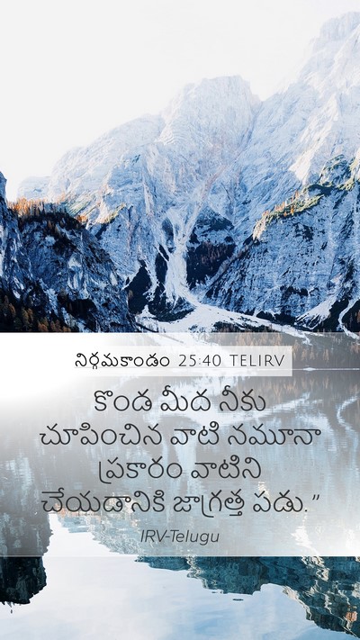 నిర్గమకాండం 25:40 TELIRV Bible Verse Image
