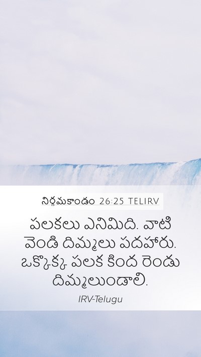 నిర్గమకాండం 26:25 TELIRV Bible Verse Image