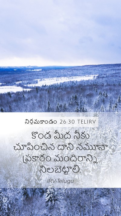 నిర్గమకాండం 26:30 TELIRV Bible Verse Image