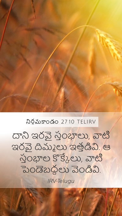 నిర్గమకాండం 27:10 TELIRV Mobile Phone Wallpaper - దాని ఇరవై - Mobile Bible Verse Wallpaper