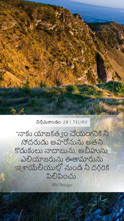 నిర్గమకాండం 28:1 TELIRV Bible Verse Image