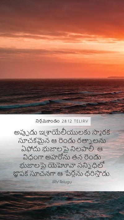 నిర్గమకాండం 28:12 TELIRV Bible Verse Image