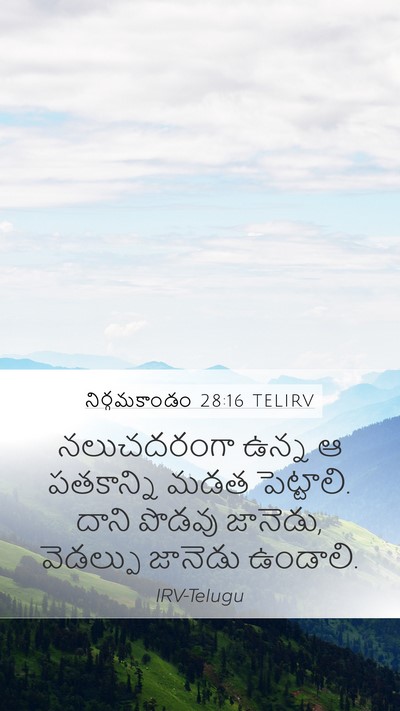 నిర్గమకాండం 28:16 TELIRV Bible Verse Image