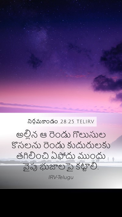 నిర్గమకాండం 28:25 TELIRV Bible Verse Image