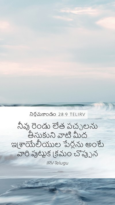 నిర్గమకాండం 28:9 TELIRV Bible Verse Image