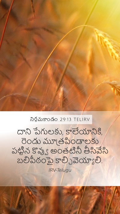 నిర్గమకాండం 29:13 TELIRV Bible Verse Image