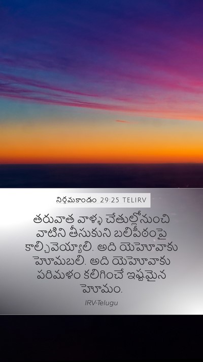 నిర్గమకాండం 29:25 TELIRV Mobile Phone Wallpaper - తరువాత వాళ్ళ - Mobile Bible Verse Wallpaper