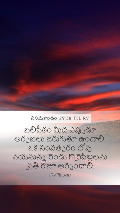 నిర్గమకాండం 29:38 TELIRV Bible Verse Image