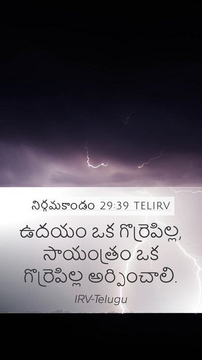 నిర్గమకాండం 29:39 TELIRV Bible Verse Image