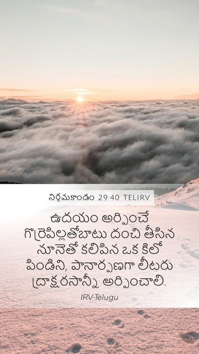 నిర్గమకాండం 29:40 TELIRV Bible Verse Image