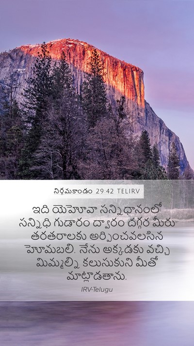 నిర్గమకాండం 29:42 TELIRV Bible Verse Image