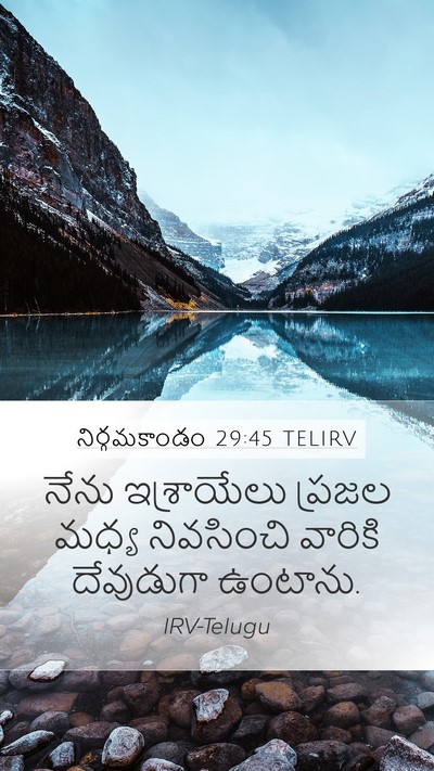 నిర్గమకాండం 29:45 TELIRV Bible Verse Image