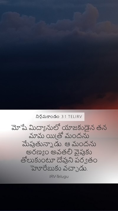 నిర్గమకాండం 3:1 TELIRV Bible Verse Image