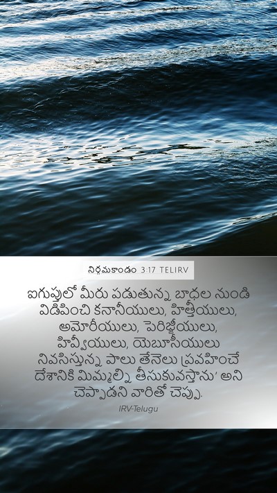నిర్గమకాండం 3:17 TELIRV Bible Verse Image