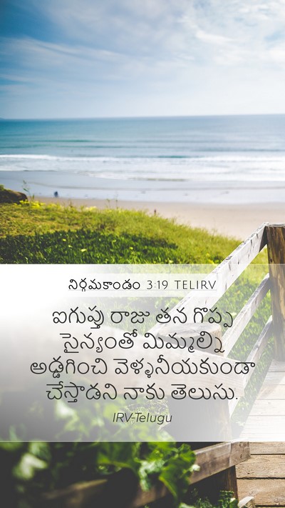 నిర్గమకాండం 3:19 TELIRV Bible Verse Image
