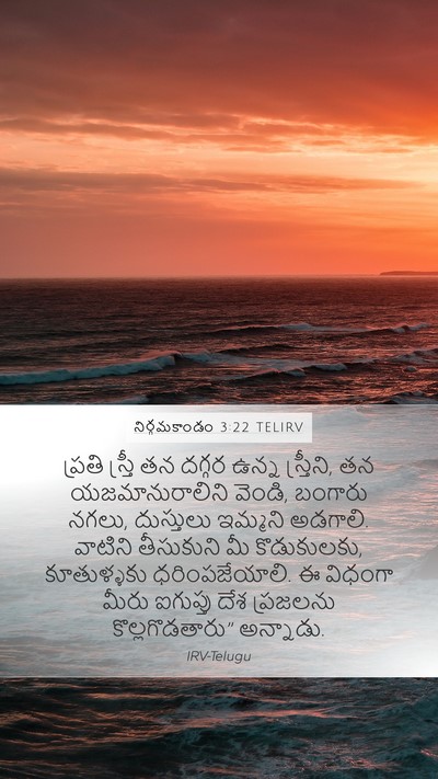 నిర్గమకాండం 3:22 TELIRV Bible Verse Image
