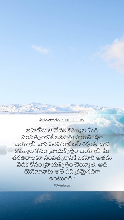 నిర్గమకాండం 30:10 TELIRV Bible Verse Image